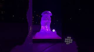 Revere Beach Ice Sculptures Art Winter Wonderland Blackmagic Camera App Apple Iphone 15 Pro Max 2024