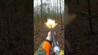 Tir d&#39;un cerf au fusil par Jeremy Meunier - Red stag shot #chasse #top10