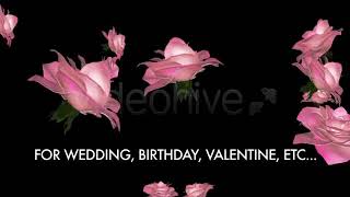 Flying Roses - Pack Of 3 Transitions | Motion Graphics - Envato elements