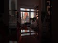 #dayinmylife #Lifestyle #nyc #interiordesign #apartment #Shorts #tobylny