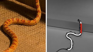 Snake Robot Locomotion