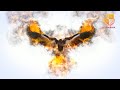 ID 468 Flaming Eagle Logo Reveals Intro Animation Design Bank Logo Animation 