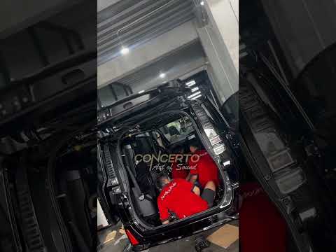 هل تريد رحلة طويلة لا تقلق المقصورة هادئة بالفعل هههه فيديو كارامبير دامبيرلوفر شورت