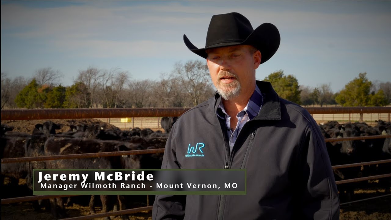 FerAppease Use at Joplin Stockyards