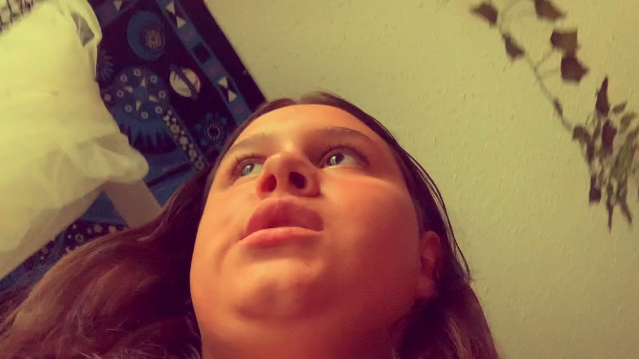 My birds night routine/prep for bed