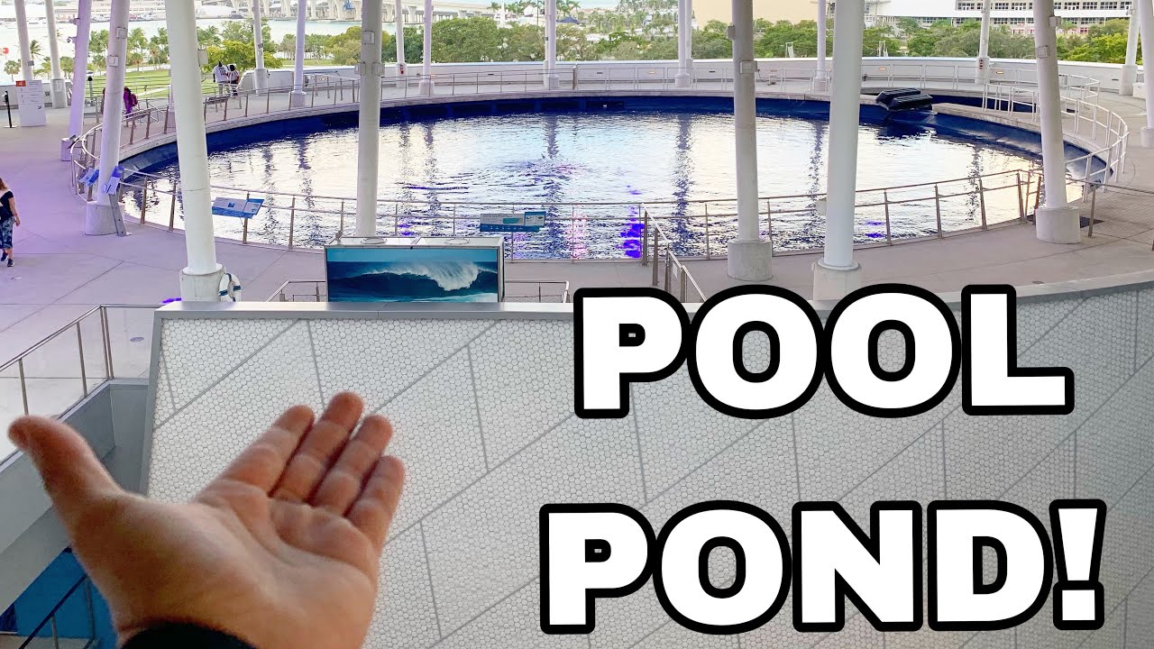 WORLD’S LARGEST OUTDOOR SALTWATER POOL POND AQUARIUM YouTube