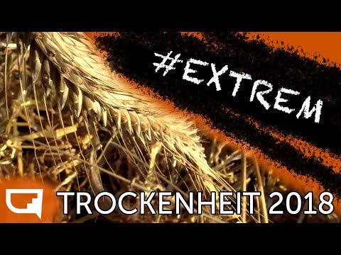 Die große Dürre