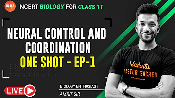 Neural Control and Coordination (EP-1) | ONE SHOT | Neural Control and Coordination | Vedantu