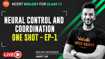 Neural Control and Coordination (EP-1) | ONE SHOT | Neural Control and Coordination | Vedantu