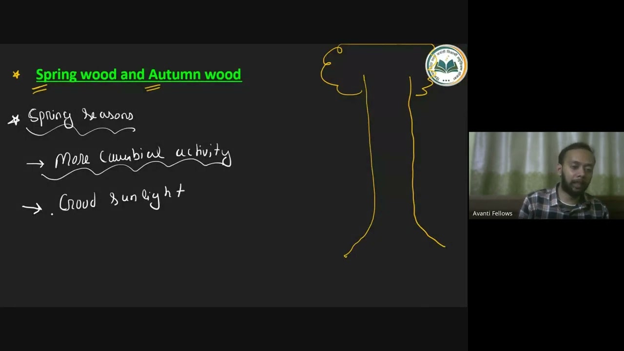 Anatomy of Flowering Plants - Autumn Wood and Spring Wood | 11th NEET Biology | 11th October 2023