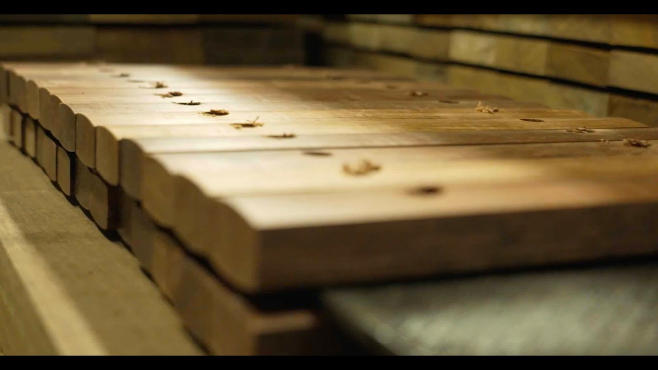 Studio49 - ImageVideo