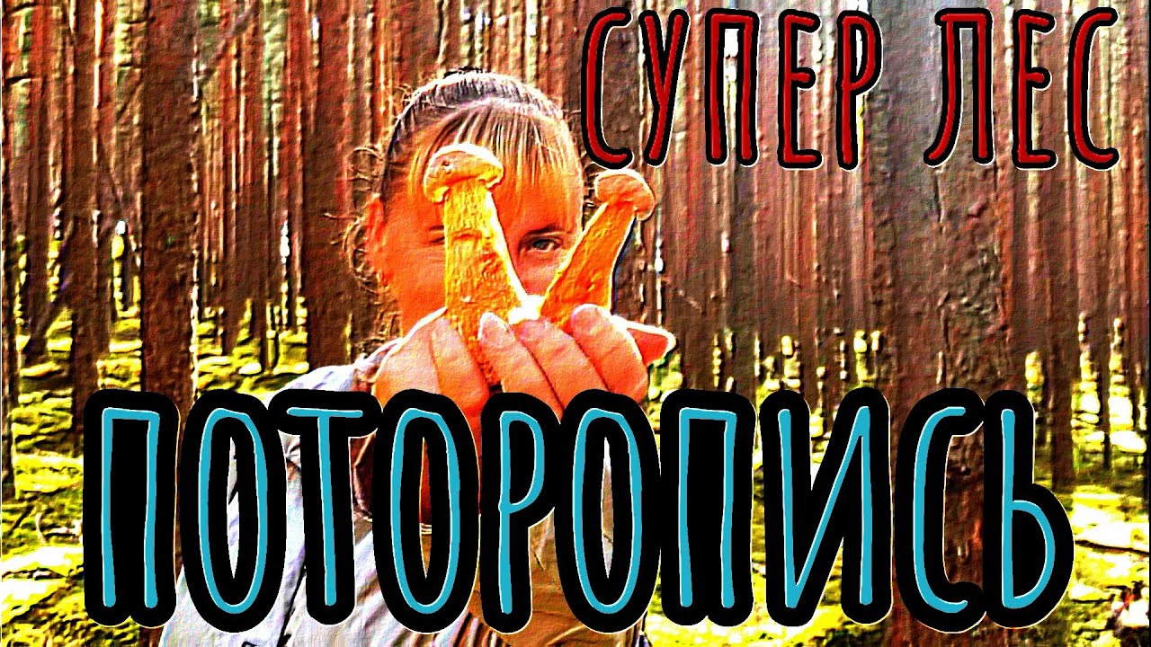 Супер место где быстро набрать грибы / Superīga vieta, kur ātri salasīt sēnes 🍄🍄🍄🍄