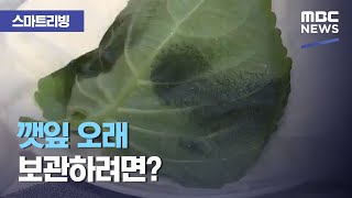 [스마트 리빙] 깻잎 오래 보관하려면? (2020.10.07/뉴스투데이/MBC)