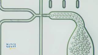 Blacksheep Sciences | High-Throughput Droplet Microfluidics in Action