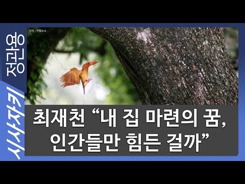 “<strong>내</strong> 집 마련의 꿈, 인간들만 힘든 걸까”｜인간만큼 여러 집 욕심내는 <strong>동물</strong> 없어｜최재천의 동물보감｜최재천 이화여대 석좌교수｜시사자키 정관용입니다