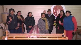 Relatos de mi Valle: Valle Oro, la cooperativa de tejedoras de Millahue