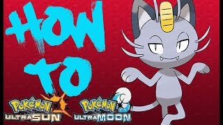 How To Find The Missing Meowth [Ultra Sun and Ultra Moon]