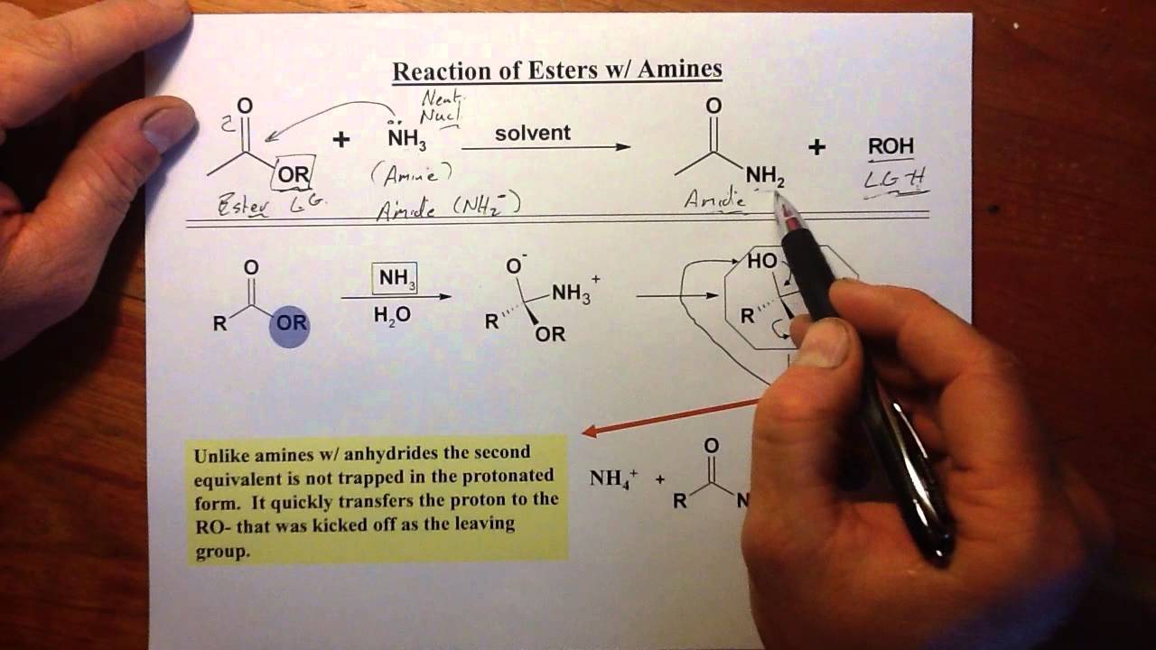 Acyl Substitution Esters, Carb. Acids & Amides YouTube