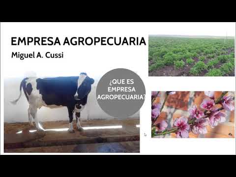 Video: ¿Qué es una empresa agrícola?