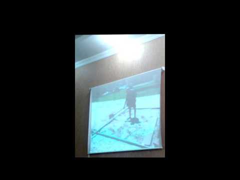 საბინაო სამსახურის მუსიკალური ანგარიში