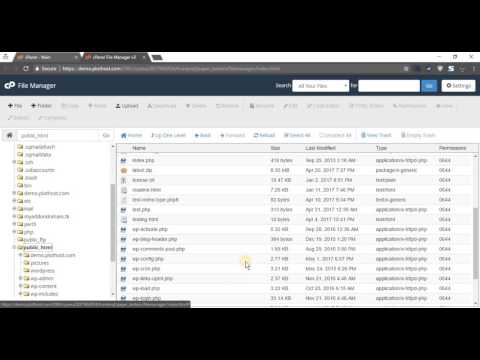 How to change file permissions in cPanel File Manager