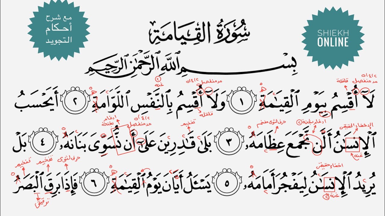 تعلم قراءة سورة القيامة مع شرح أحكام التجويد
