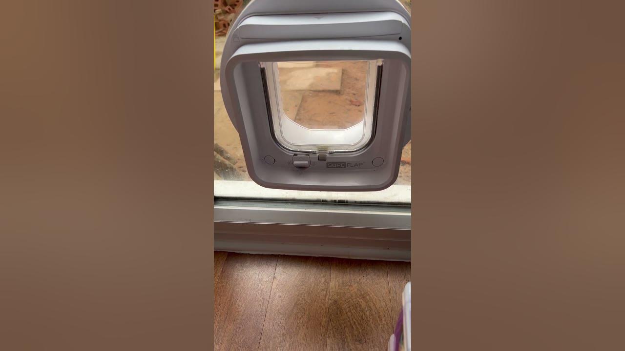 Sureflap Cat Flap Clicking Problem YouTube