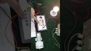12V/220V Mini Smart Thermostat Automatic Incubator Control Sys
