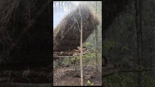 Primitive Bed Shed In 40 Seconds