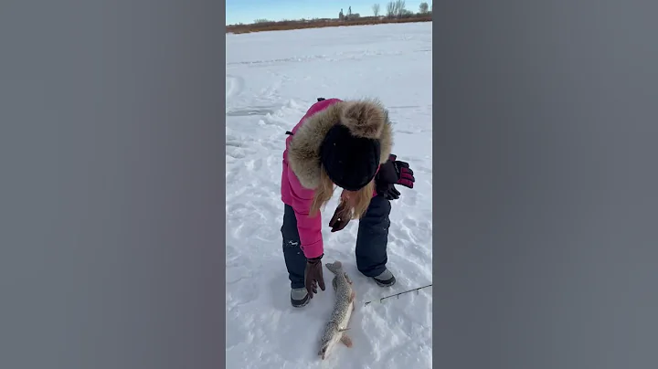 Ice Fishing in Hays Alberta, Canada
