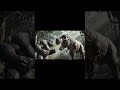 The King Protects His Forest – The Battle Between Kong and T-Rex ⚡ 4K