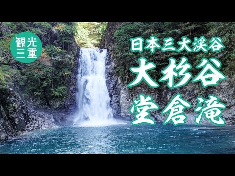 大杉谷渓谷：堂倉滝　ドローン映像（三重県大台町）｜観光三重｜三重県の観光・旅行情報