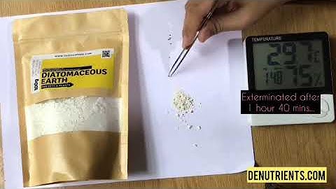 Do Diatomaceous Earth Really Works on Ants? - DENutrients Diatomaceous Earth