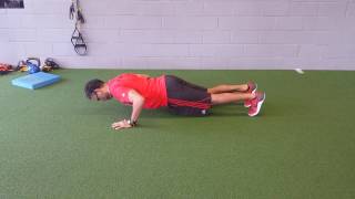 Push Up   iso Hold   Bottom