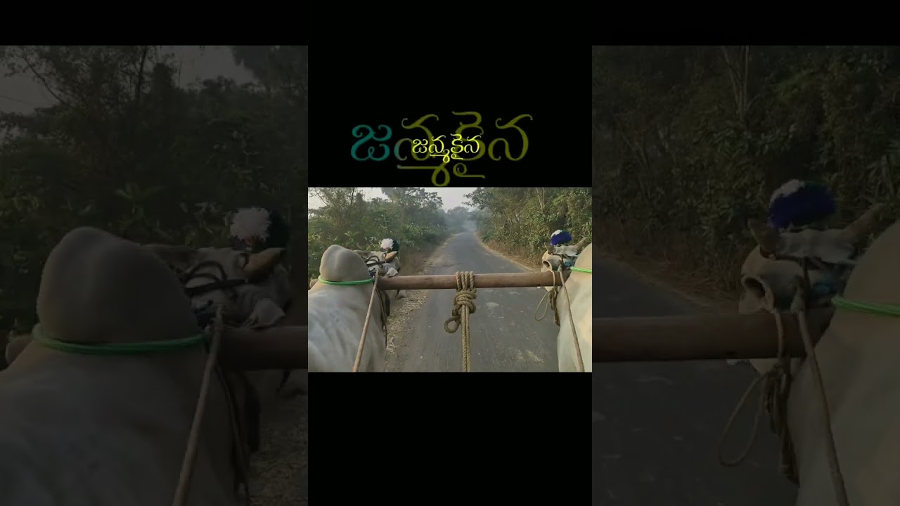 Beta Clip ✨💥 | Kondaveti Krishna Kishore Garu | Srikakulam | Krishna district | Trending Video |