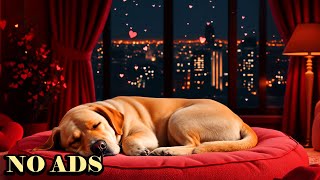 Peaceful Dog Sleepの配信のサムネイル画像