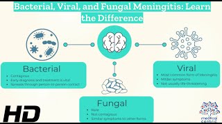 Decoding Meningitis: Understanding Bacterial, Viral, and Fungal Varieties