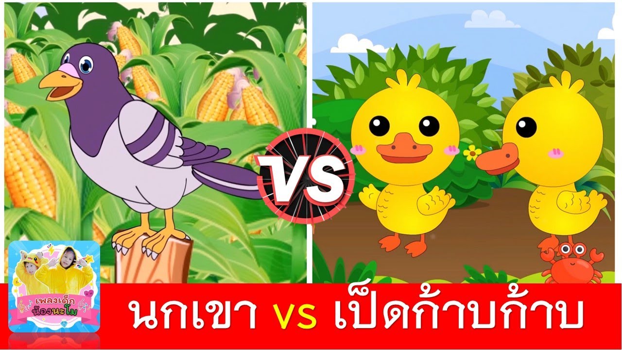 นกเขาบินข้ามเขา vs เป็ดก้าบก้าบ