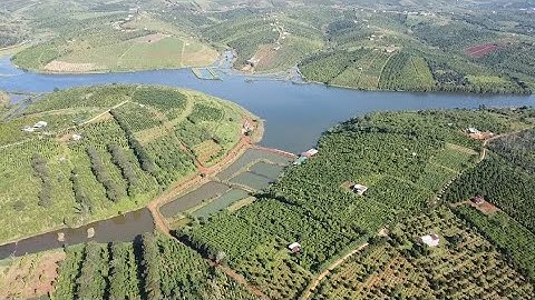 ( ĐÃ BÁN ) 1.2 ha cà - tiêu view hồ đẹp ngay dân cư giá rẻ bèo chỉ 3 tỷ cả lô Lh 0979.653.223