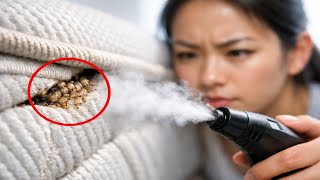How to Kill Baby Bed Bugs (Safe, Effective Methods)