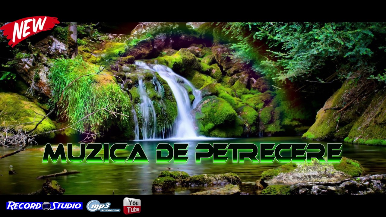 Diana Istudor si Formatia LIDER | Colaje VOL.2 Nunta Ionut si Vasilica | Ascultari, Hore, Sarbe