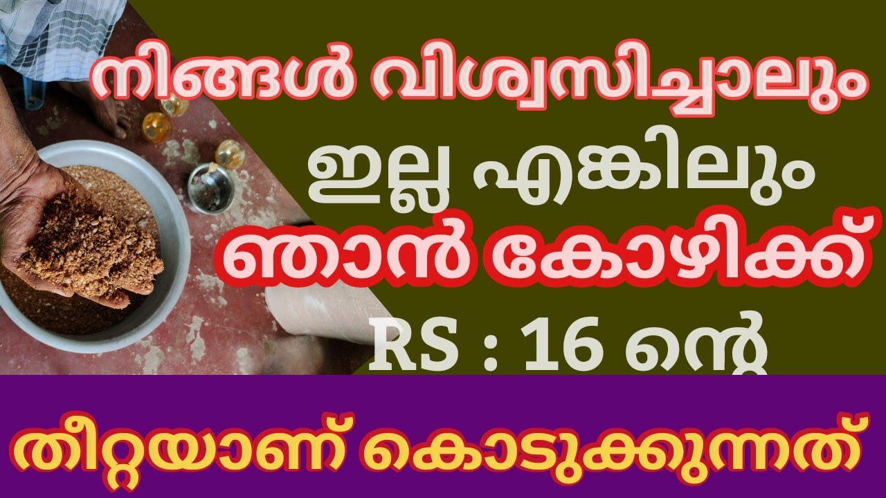 വിശ്വസിക്കൂ ....ഞാൻ ഉണ്ടാക്കി നൽകുന്ന കോഴിത്തീറ്റക്ക് വെറും 16 രൂപ മാത്രം /home made poultry feed