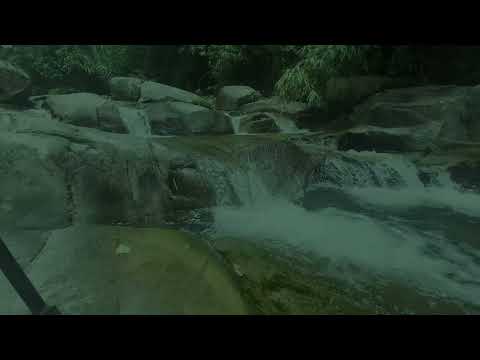 Tranquil Forest Creek & Calm Piano 🎹 Nature Sounds for Sleep, Relaxation & Inner Peace