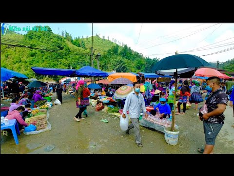 Video: Vùng Cao Chịu Bóng Râm