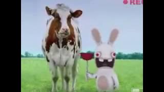 Rayman Raving Rabbids Bunnies Compilation