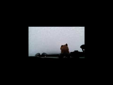 Ниссан патруль свап