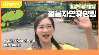 절물자연휴양림 영상