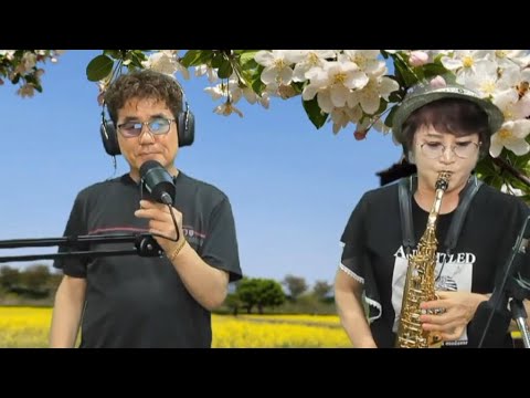 유리벽사랑~작은거인tv/색소폰반주(가수/<strong>김가연</strong>)