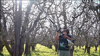 Episode 1. Pruning