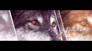 Teaseralbe New Album